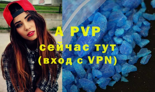 стаф Абаза
