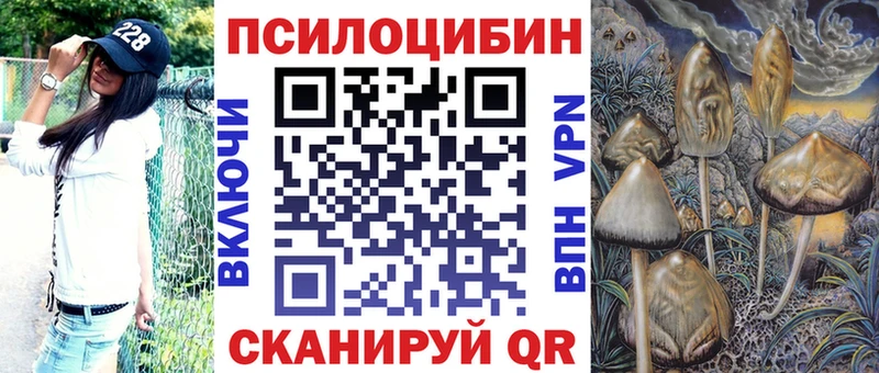Псилоцибиновые грибы Psilocybine cubensis  shop состав  Весьегонск  купить наркотик 